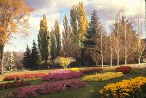 Goodbye Summer, Hello Fall