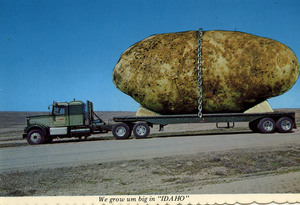 Postcard of oversized potato [2]