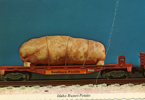 Postcard of oversized potato [3]