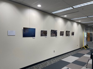 Snakes of Idaho Exhibit [2]