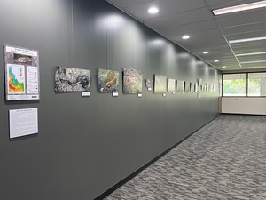 Snakes of Idaho Exhibit [3]