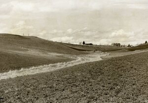 U of I Arboretum [3]