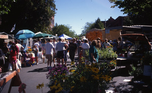 Farmer's Market [1]