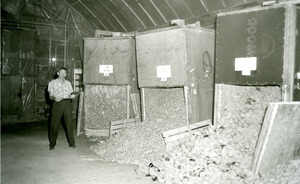 Photo o[f] a man standing next to potatoes