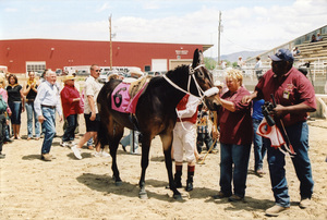 Idaho Gem at the Winnemucca Mule Races in 2006