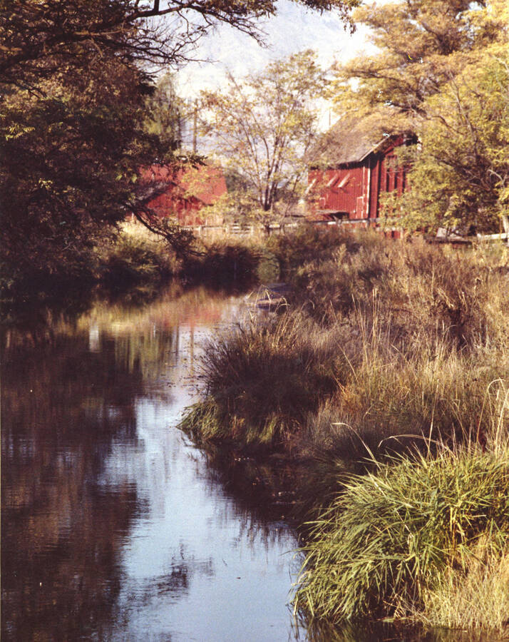A creek leads up to a red barn hidden behind trees in this image.