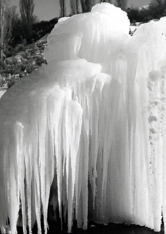 Icicles clustered together to form a massive sculpture  received a score of 24 at the Boise Camera Club competition.