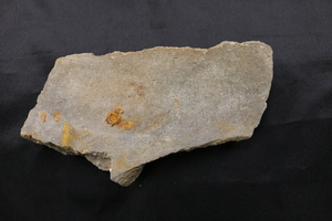 Roof tile torn from the roof of a building due to the force of the atomic bomb landing in Hiroshima, Japan.
