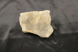 Roof tile torn from the roof of a building due to the force of the atomic bomb landing in Hiroshima, Japan.