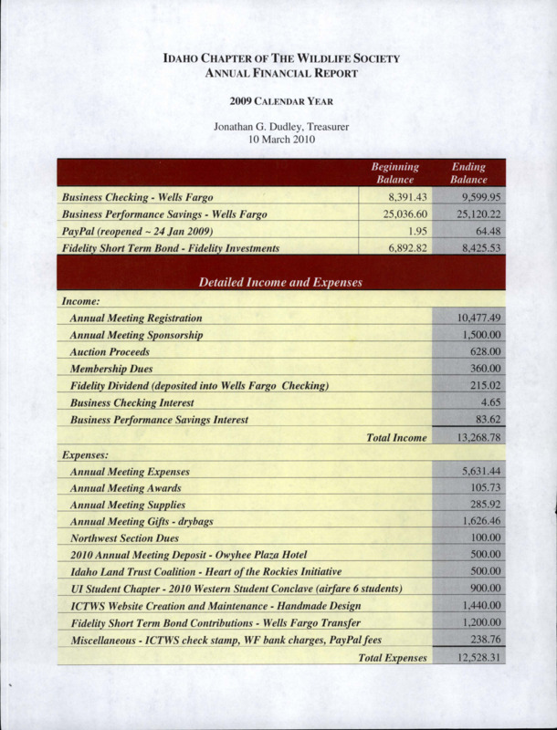2009 annual financial report.