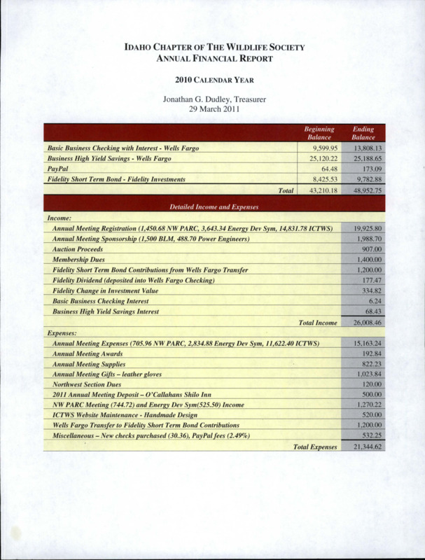2010 annual financial report.