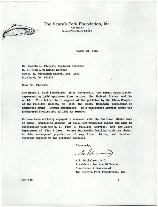 Letter from M.R. Mickelson about the Henry Fork's Foundation's support for the ICTWS petition to list the Rocky Mountain population of trumpeter swans as a Threatened Species under the Endangered Species Act of 1983.