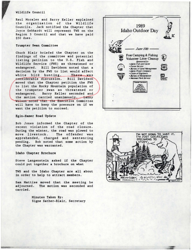 A document with information including but not limited to the Wildlife Council, Trumpeter Swan Committee, Egin-Hamer Road Update, and Idaho Chapter Brochure. A small illustration on the right side of the document for a 1989 Idaho Outdoor Day.