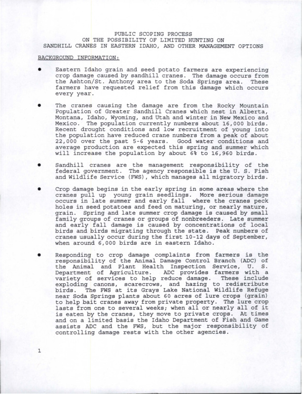 Document titled "Public Scoping Process on the Possibility of Limited Hunting on Sandhill Cranes in Eastern Idaho, and Other Management Options." The document includes a list of background information which includes but is not limited to sandhill cranes, crop damage, Animal Damage Control Branch, hunting, and management options. Option A is authorizing limited and controlled hunts. Option B is no change. Option C is also no change but the ICTWS plays a greater role servicing damage complaints. Option D is to issue kill permits, less than thirty. Option E is a combination of limited hunts and kill permits.