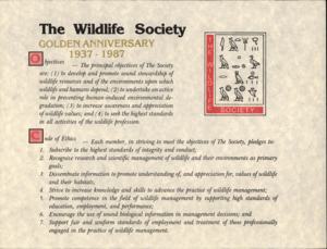 An anniversary document with sections titled 'Objectives' and 'Code of Ethics'.