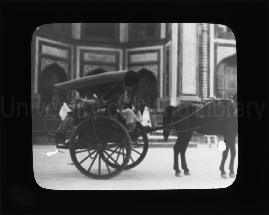 Two-wheeled carriage with a calash top pulled by a horse, in front of a building in an unknown location.