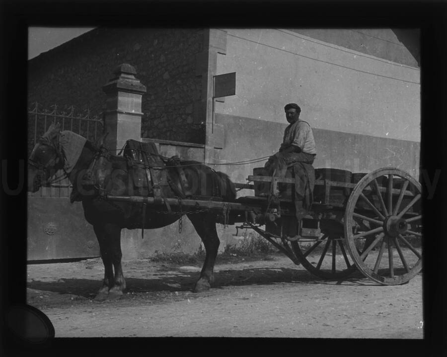 Two-wheeled carriage pulled by a horse, with driver.