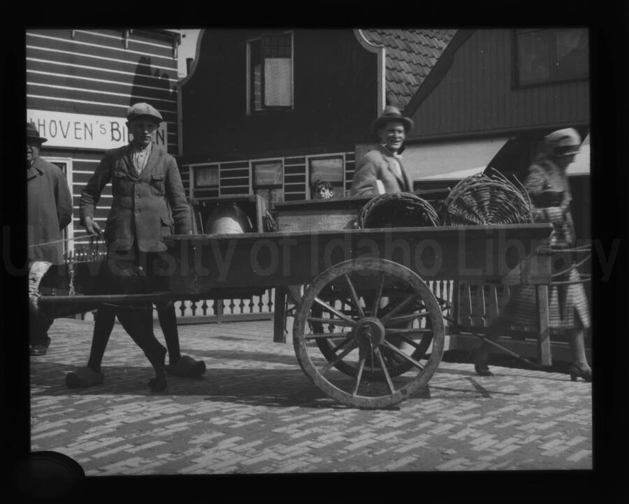 A dog cart, with the front half of the dog not pictured. The man holding the dog is wearing wooden shoes.