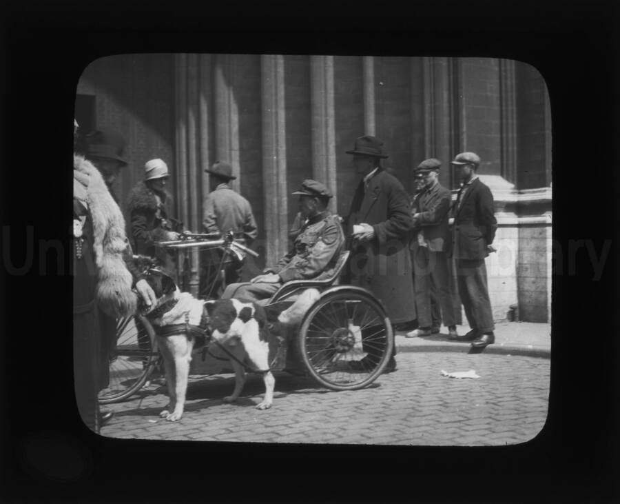 A group of people with one sitting in a wheelchair and a harnessed dog on the side.