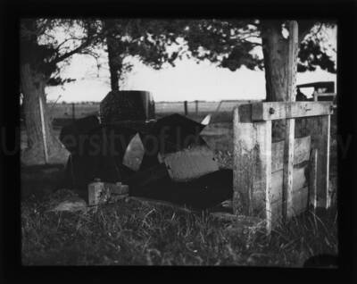 A water-wheel in a ground level channel.