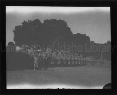 A man and two women posing in front of the criosphinx (ram-headed) that represent the god Amon, which leads to the entrance to the Karnak Temple. Luxor, Egypt.