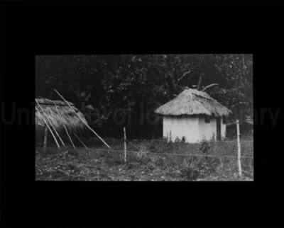 Straw-thatched houses, huts in an unknown location.