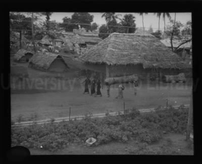 A village scene. Women and children walk a road with thatched-roof huts and cows in the background.