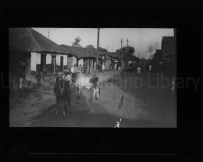 A street scene with people and cows. Seen in the foreground is a small British flag.