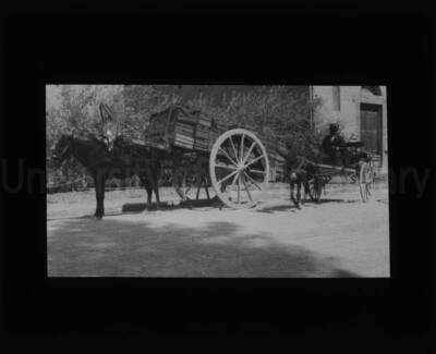 A single horse pulls a loaded two-wheeled cart next to a donkey pulling a two-wheeled buggy with a driver in the bench seat.