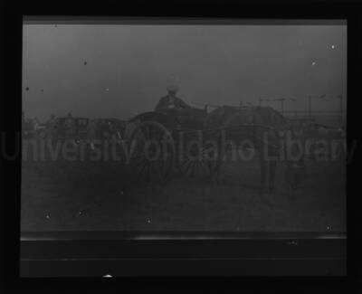 A light two-wheeled carriage pulled by a horse, with driver, among cars in an open field.