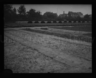 Agriculture test crops beds in an unidentified location.