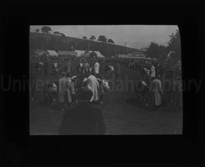 Participants are lined up and ready for a cattle showing at the University of Idaho.