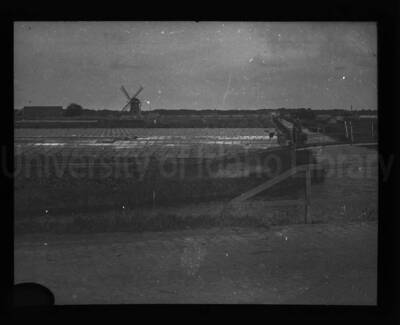 Crop field with windmill and irrigation canal.