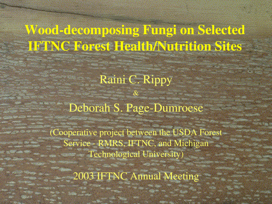 2003 Annual Meeting Presentation