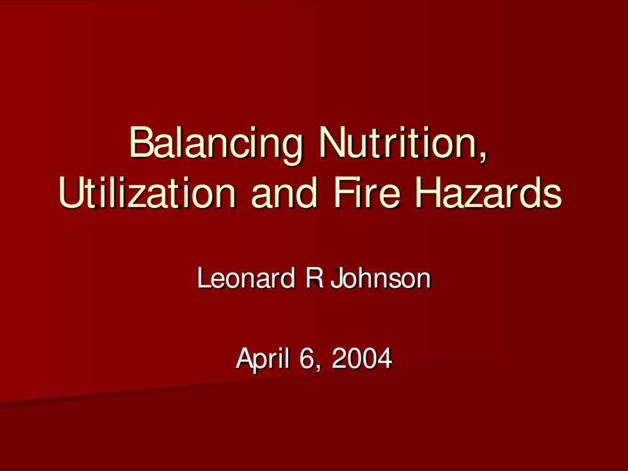 2004 Annual Meeting Presentation