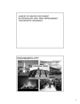 2010 Annual Meeting Presentation