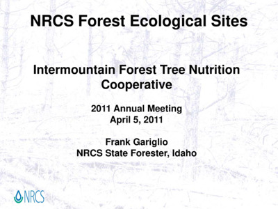 2011 Annual Meeting Presentation