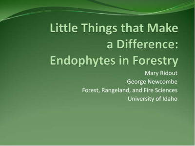 2012 Annual Meeting Presentation