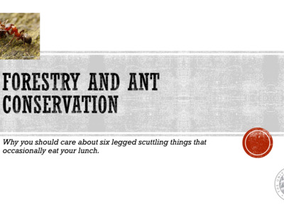 2014 Annual Meeting Presentation