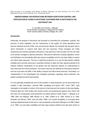 Historically, the practice of silviculture has focussed on controlling the composition, quantity, and structure of forest vegetation and the maintenance of site quality. As forest plantations have become important sources of fiber, fuel, and structural material, this custodial role has given way to active intervention to improve both plant and soil resources. Forest managers are finally recognizing that intensive plantation silviculture is like agronomy; both the plant and the soil need to be actively managed to optimize production. Silvicultural treatments including vegetation control and fertilization can dramatically effect site resource availability and the crop trees' ability to acquire and utilize these resources. The key to optimizing production is to use the best genetic material available and to provide resources in quantities sufficient to allow the trees' genetic potential to be realized. Effective manipulation of the genetic and site resources requires an understanding of what resources limit forest production, how these resources are affected by silvicultural treatment, and how crop trees may differ in their ability to acquire and utilize these resources. Fortunately, our understanding of the physiological and ecological processes regulating forest production has greatly increased during the last decade.  It is now generally accepted that much of the variation in wood production can be accounted for by variation in light interception. (Cannell 1989, Landsberg and Gower 1997, Linder 1987). Light interception is principally a function of the amount of leaf area and the duration of leaf area display. Empirical data from field studies with several conifer and broad-leaved species have shown that leaf area and consequently wood production are below optimum levels (Figure 1, Albaugh et al. 1998, Allen and Albaugh 1999, Benson et al. 1992, Colbert et al. 1990, Pereira et al. 1994, Snowdon and Benson 1992, Vose and Allen 1988). Low nutrient availability is a principal factor causing suboptimal levels of leaf area in many temperate humid areas (Albaugh et al 1998, Colbert et al. 1990). Low soil water availability and high vapor pressure deficits have also been shown to  adversely affect leaf area in areas with growing season water deficits (Benson et al. 1992, Hennessey et al. 1992, Pereira et al. 1994).  The variation in production per unit of leaf area (referred to as growth or leaf area efficiency) can also contribute to the variation in production. Growth efficiency can vary due to differences in photosynthetic efficiency, respiration, and partitioning to various biomass components. Improved nutrient and water availability has been shown to increase photosynthetic efficiency (Linder 1987) and aboveground productivity proportionally more than belowground productivity in stand-level studies (Albaugh et al. 1998, Allen and Albaugh 1999, Gower et al. 1994).