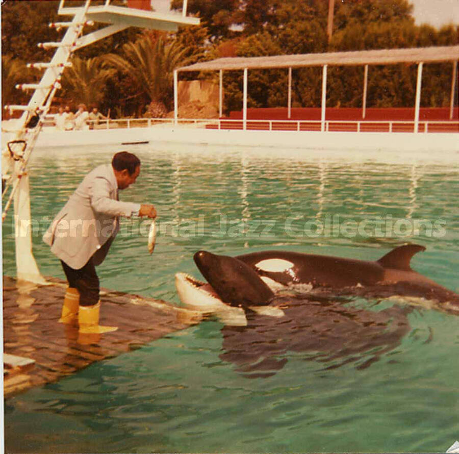 3 1/2 x 3 1/2 inch photograph. Lionel Hampton feeding orca whales at a marine mammal park