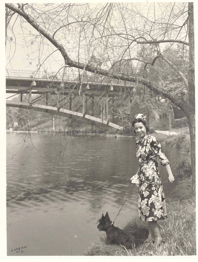 10 x 8 inch photograph. Gladys Hampton walking a black scottie dog by a river