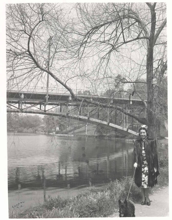 10 x 8 inch photograph. Gladys Hampton walking a black scottie dog by a river