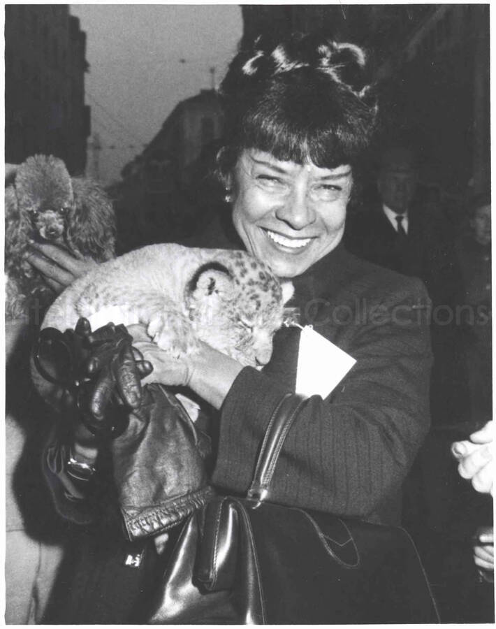 10 x 8 inch photograph. Gladys Hampton holding a leopard cub