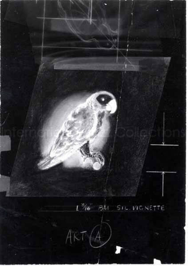 4 x 3 inch photograph. Drawing of a parrot, the logo of Glad-Hamp Records. Sil. Vignette