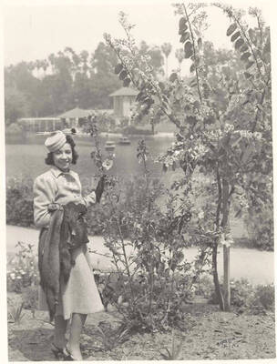 10 x 8 inch photograph. Gladys Hampton