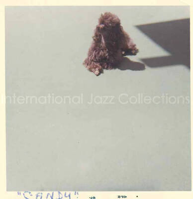 Gladys Hampton's dog named Candy. 3 1/2 x 3 1/2 inch photograph.