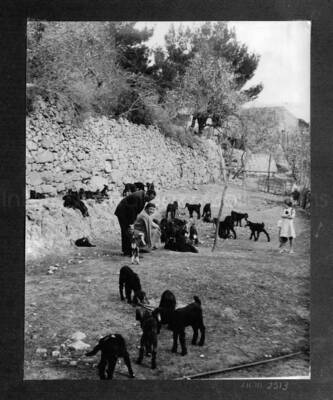 10 x 8 inch photograph. Lionel Hampton in Israel. This photograph is in a photo album titled: In the Holy City - Jerusalem