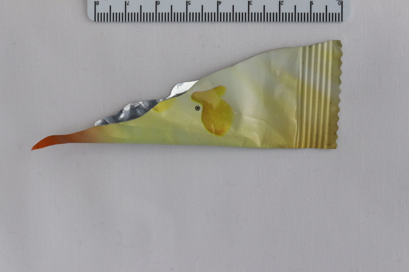 GOLDFISH BAG