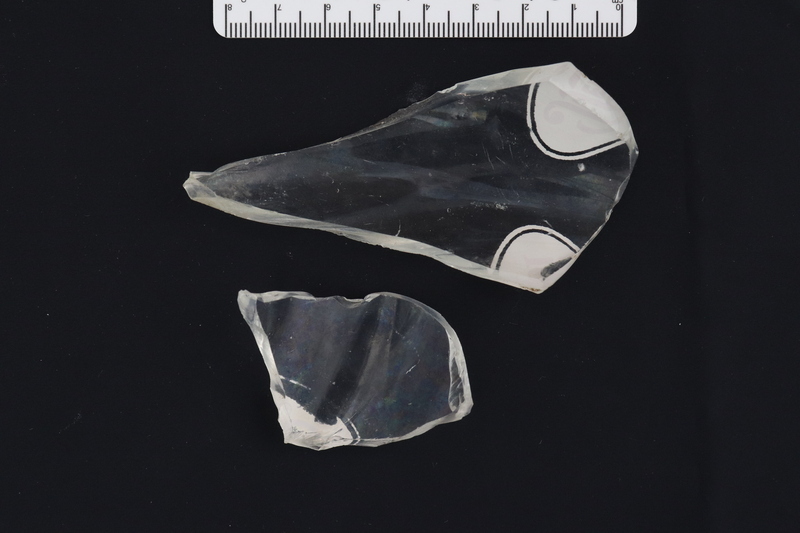 PEPSI BOTTLE